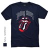 The Rolling Stones 15