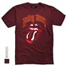 The Rolling Stones 15