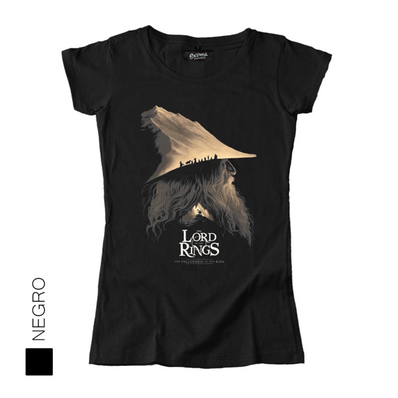 El Señor de los Anillos 01