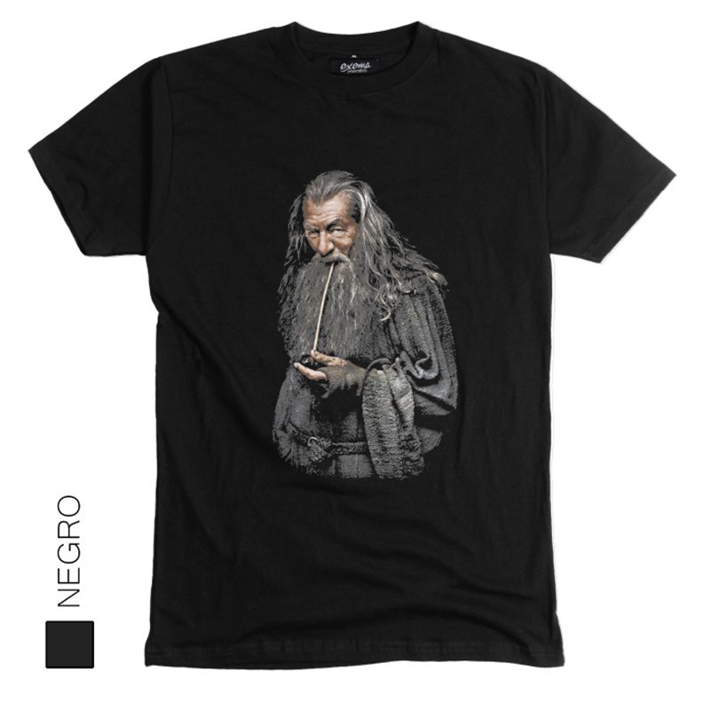 El Señor de los Anillos 09