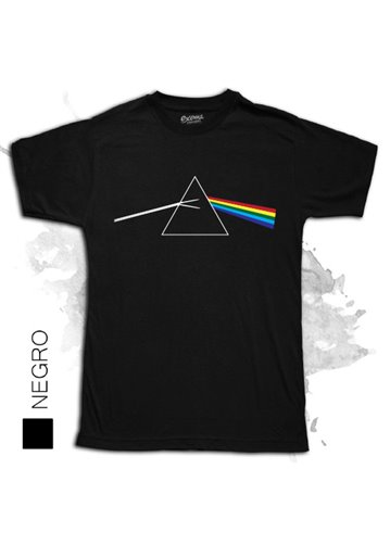 Pink Floyd 08