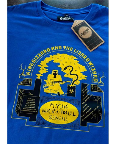 King Gizzard & the Lizard Wizard 02