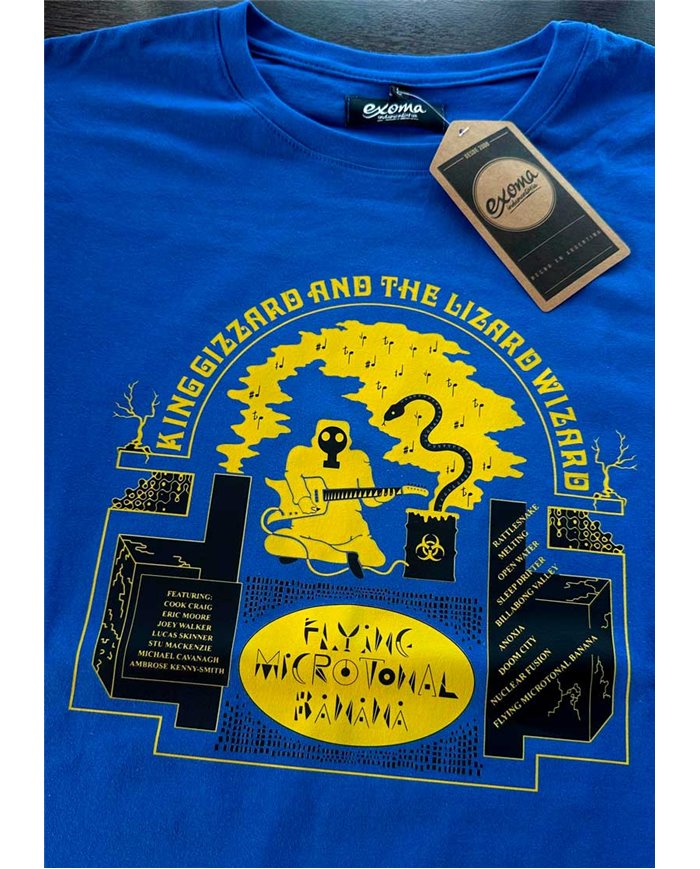 King Gizzard & the Lizard Wizard 02