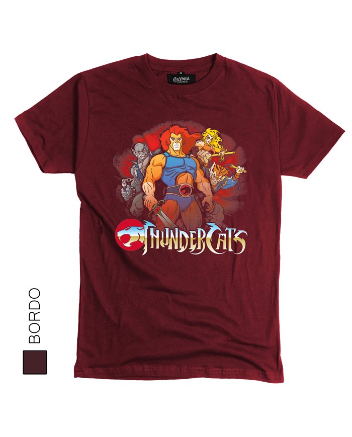 Thundercats 02