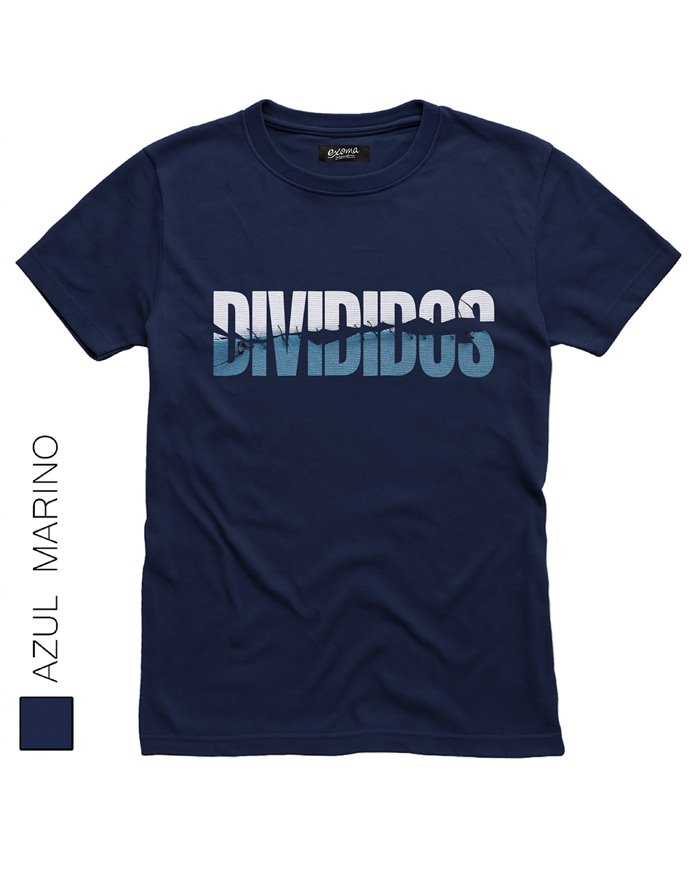 Divididos 12
