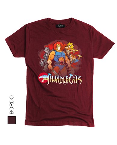 Thundercats 02