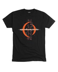 A Perfect Circle 01