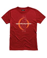 A Perfect Circle 01