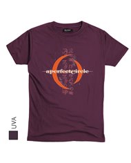 A Perfect Circle 01