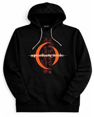A Perfect Circle 01