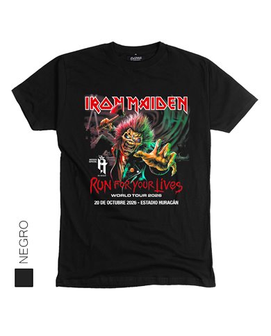 Iron Maiden 13