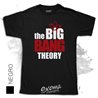 The Big Bang Theory 01