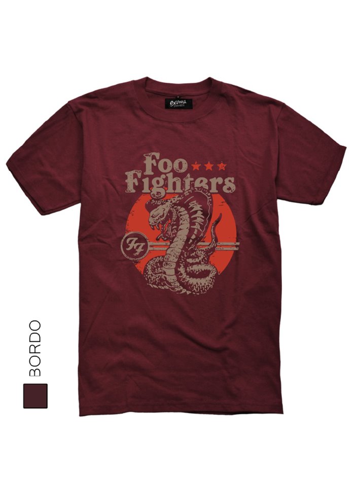 Foo Fighters 04