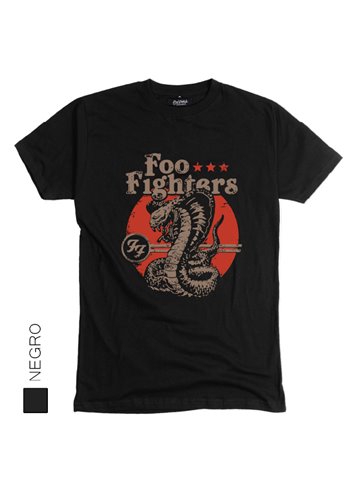 Foo Fighters 04
