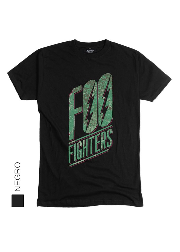 Foo Fighters 09