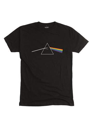 Pink Floyd 08