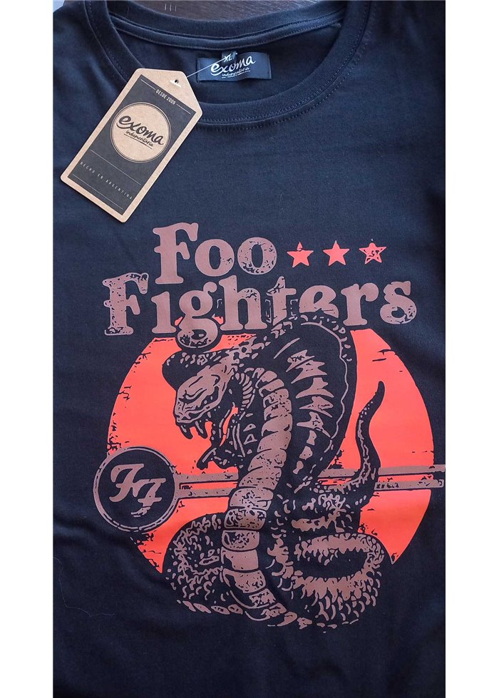 Foo Fighters 04