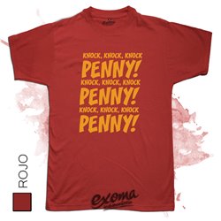 The Big Bang Theory 04