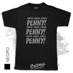 The Big Bang Theory 04