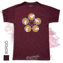 The Big Bang Theory 10