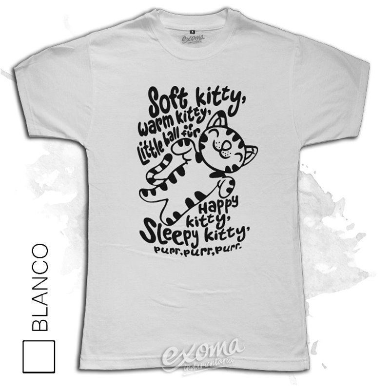 The Big Bang Theory 12