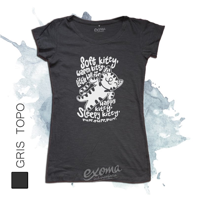 The Big Bang Theory 12