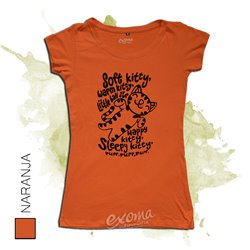 The Big Bang Theory 12