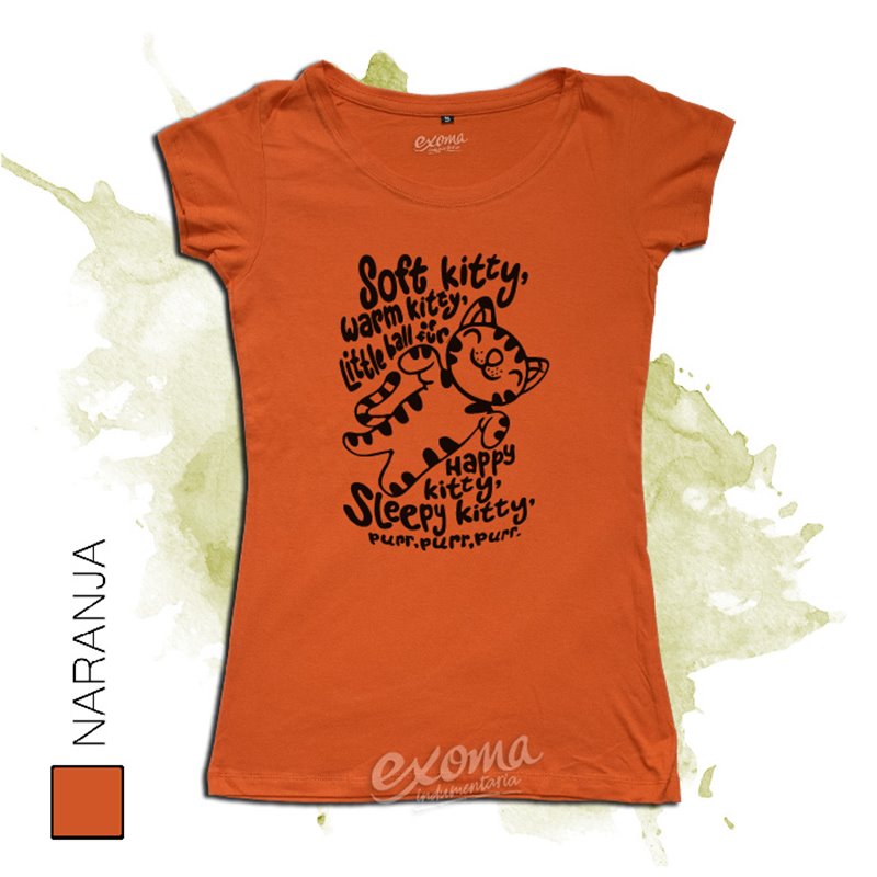 The Big Bang Theory 12