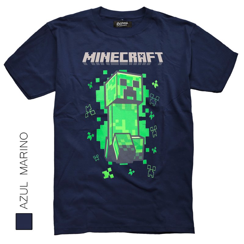 Minecraft 01