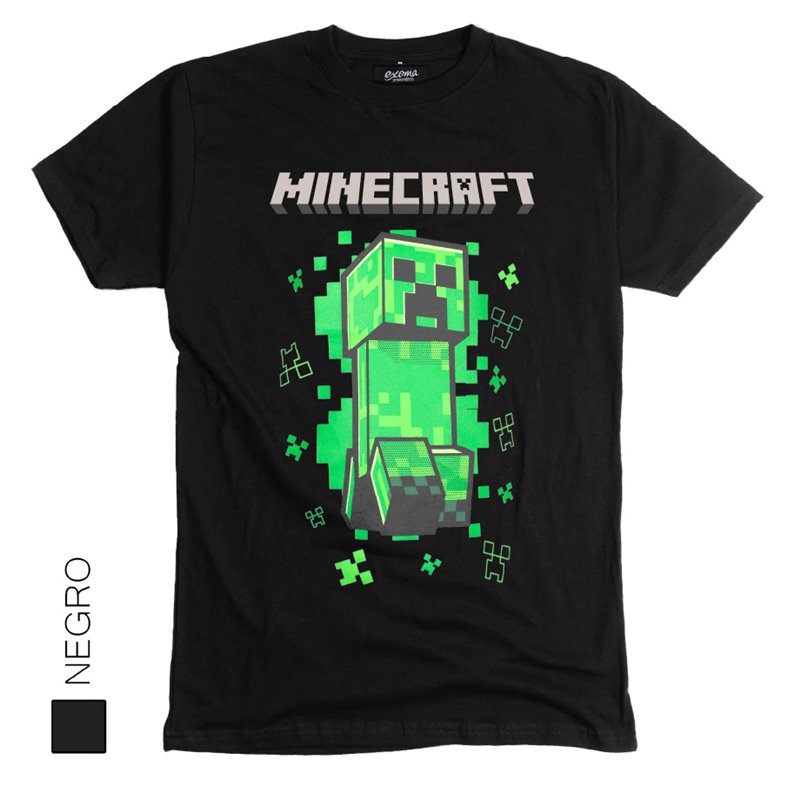 Minecraft 01