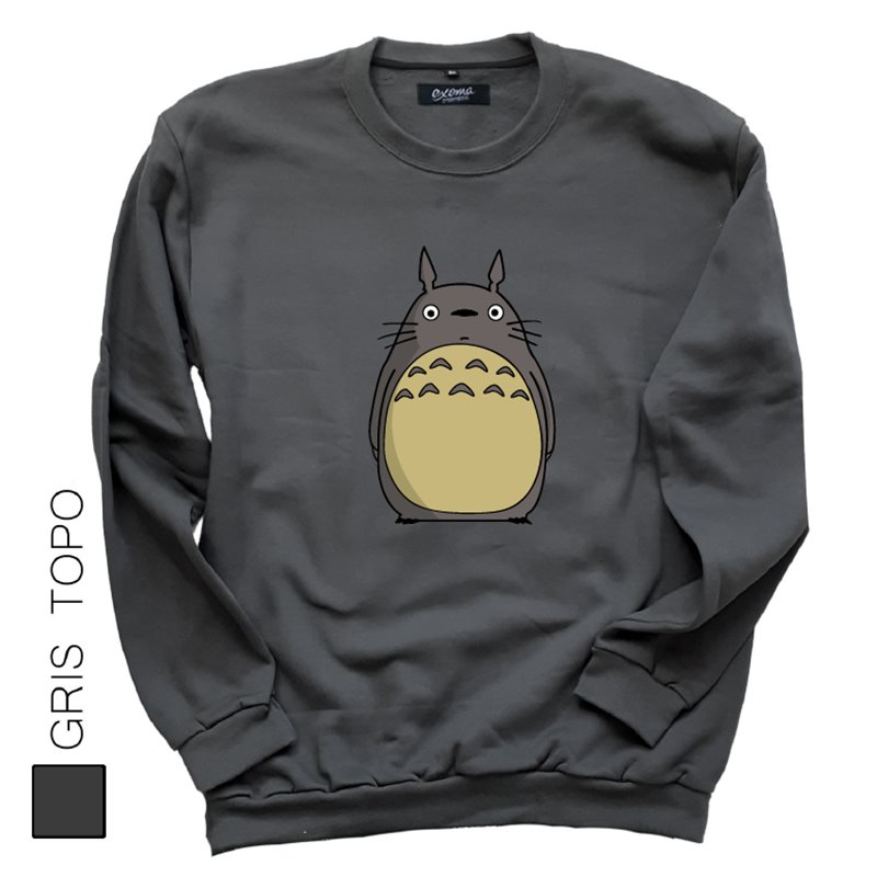Mi Vecino Totoro 01