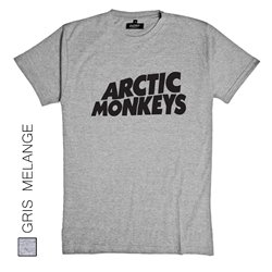 Arctic Monkeys 04