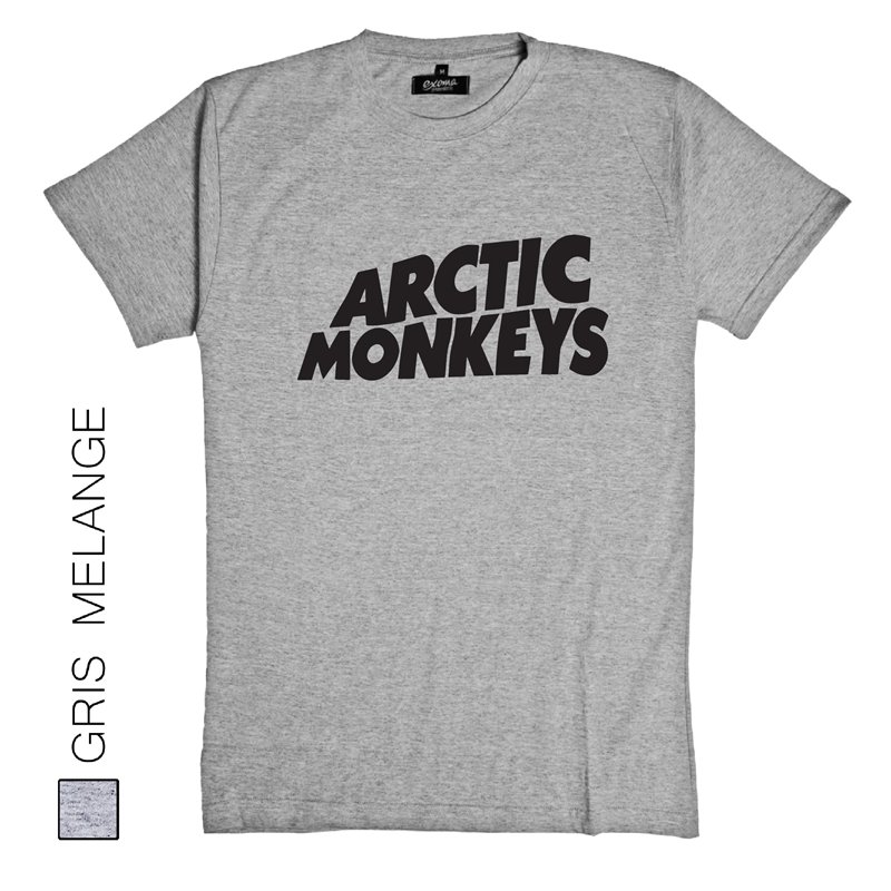 Arctic Monkeys 04