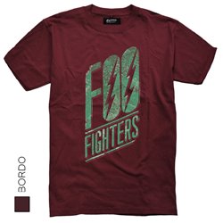 Foo Fighters 09