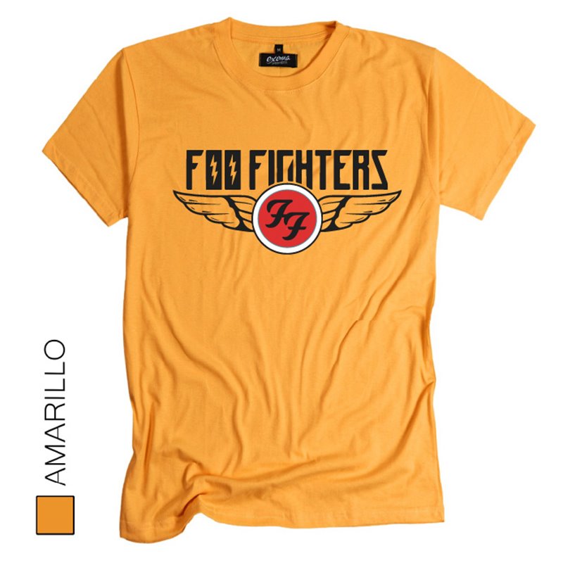 Foo Fighters 11