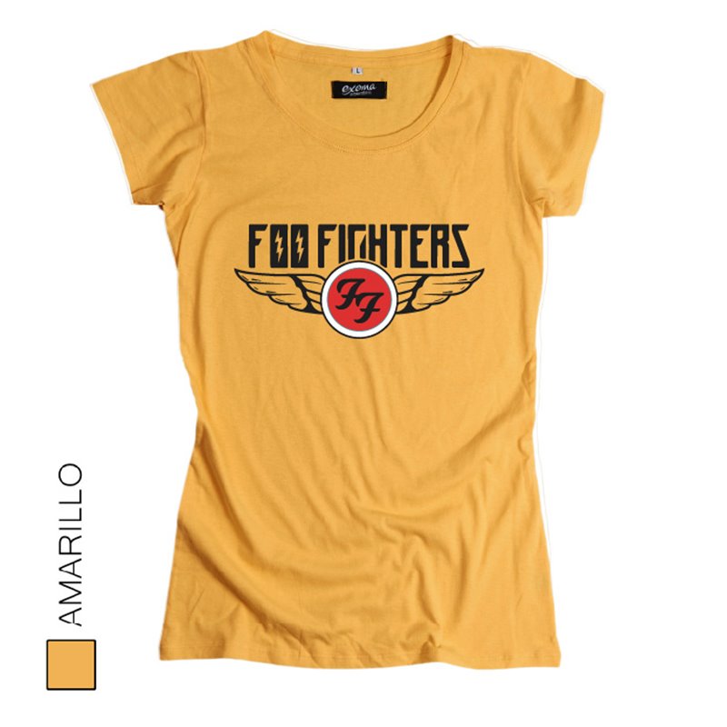 Foo Fighters 11