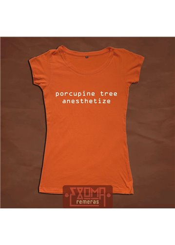 Porcupine Tree 06