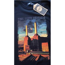 Pink Floyd 09