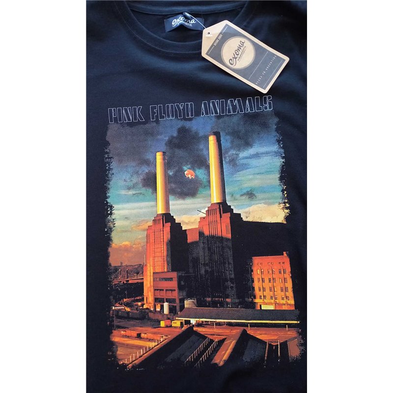 Pink Floyd 09