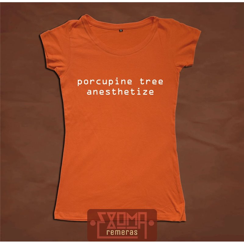 Porcupine Tree 06