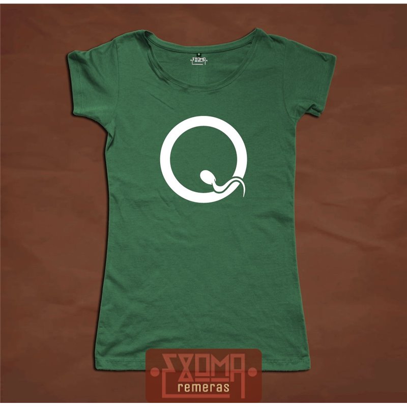 Queens of the Stone Age 01