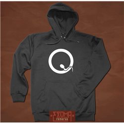 Queens of the Stone Age 01