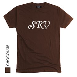 Stevie Ray Vaughan 02