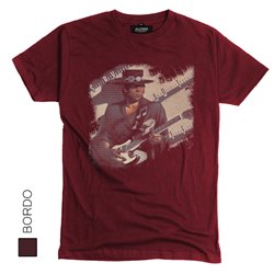 Stevie Ray Vaughan 04