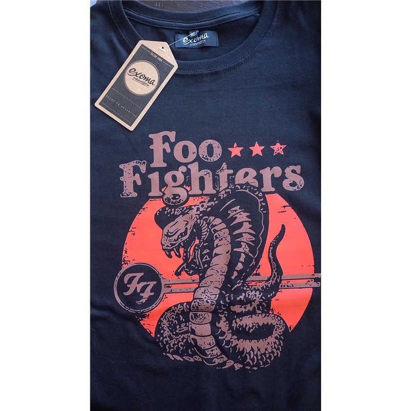 Foo Fighters 04