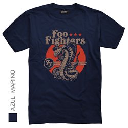 Foo Fighters 04