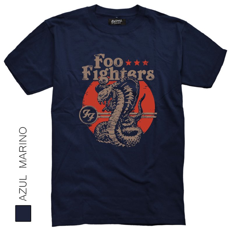 Foo Fighters 04