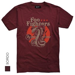 Foo Fighters 04