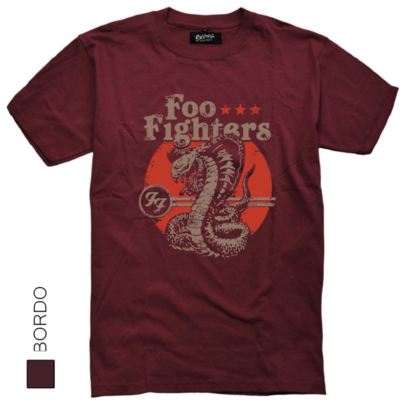 Foo Fighters 04