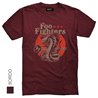 Foo Fighters 04